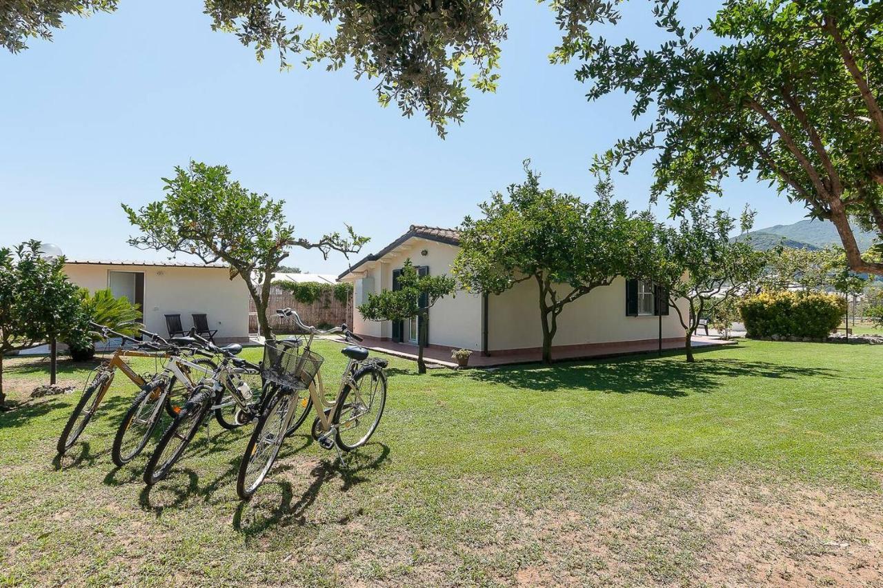 La Cesa Holiday House 圣费利切-奇尔切奥 外观 照片